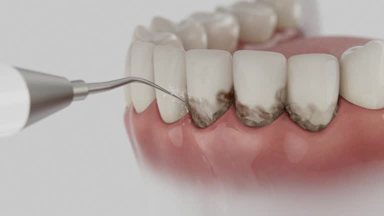 Reliable Dental contractor in Powell, TN by Dentist Open Now